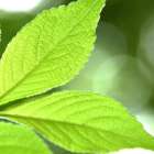 福祉委託サービス部　チラシ