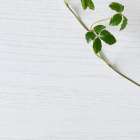 求人募集ページ