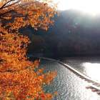 ①障がい者支援サービス